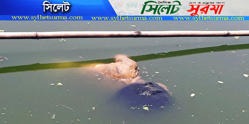 সিলেটের ব্লু বার্ড স্কুল অ্যান্ড কলেজের শিক্ষার্থীকে অপহরণের পর হত্যা”
