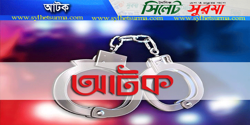 সংবাদ সম্মেলন থেকে ছাত্রদল-যুবদলের ৭ নেতাকর্মী আটক