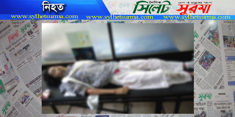 সড়ক দুর্ঘটনায় স্কুলছাত্রীর মৃত্যু