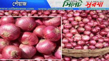 শিগগির পেঁয়াজের দাম কমবে 