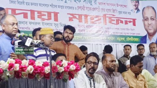 ফ্যাসিস্ট হাসিনা পালিয়ে গেলেও তার দোষররা এখনও সক্রিয়: বিএনপি নেতা শরিফুল হক সাজু