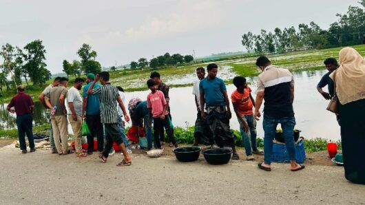 সড়কের পাশে হাওড়ের টাটকা মাছ