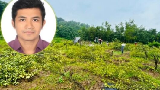 মৌলভীবাজারে ১২০০ কমলা গাছ কাটা বনবিভাগের সেই কর্মকর্তাকে বদলি